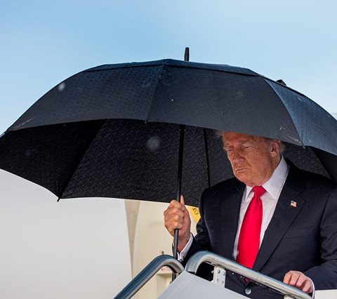Official image of Donald Trump for an article about the proposed democracy dividend.
